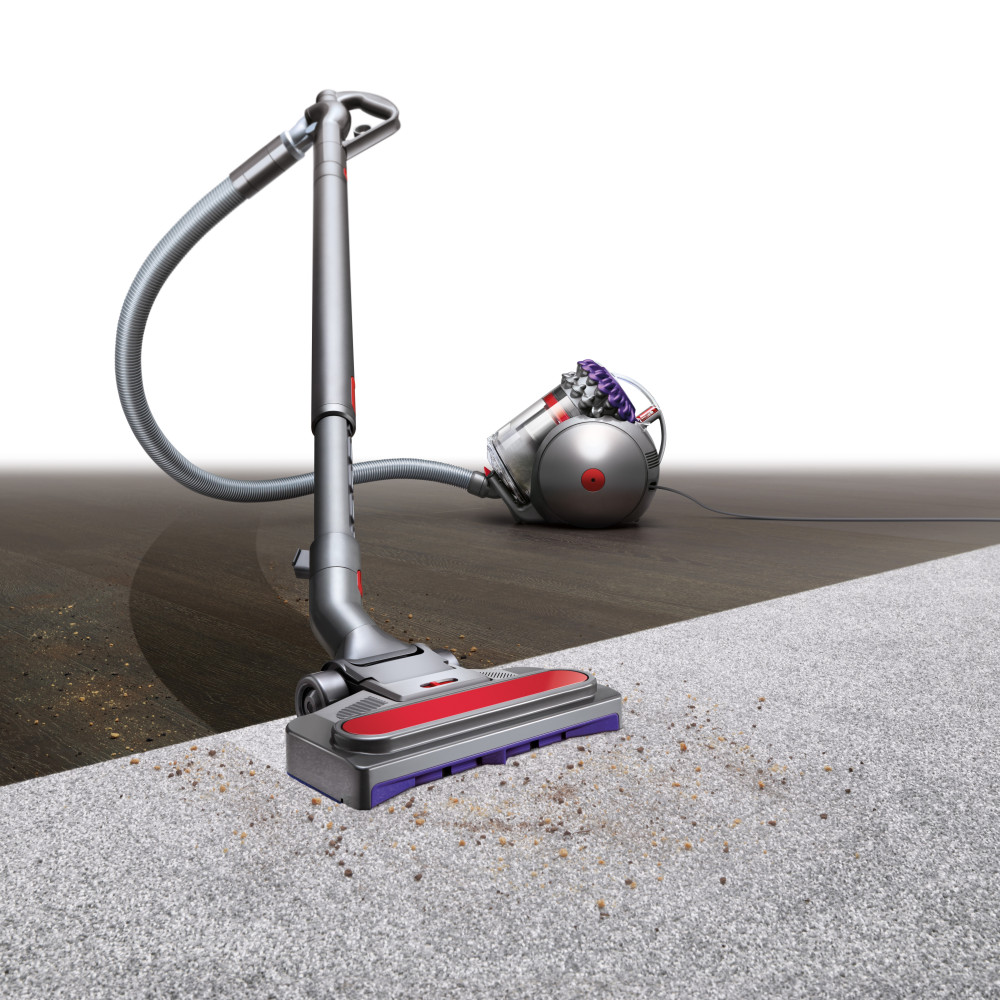 Dyson Big Ball Animal 2 Vacuum Cleaner | 228563-01 Dyson Big Ball Animal 2 Vacuum Cleaner | 228563-01