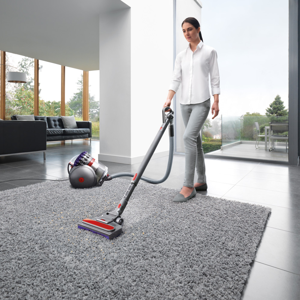 Dyson Big Ball Animal 2 Vacuum Cleaner | 228563-01 Dyson Big Ball Animal 2 Vacuum Cleaner | 228563-01
