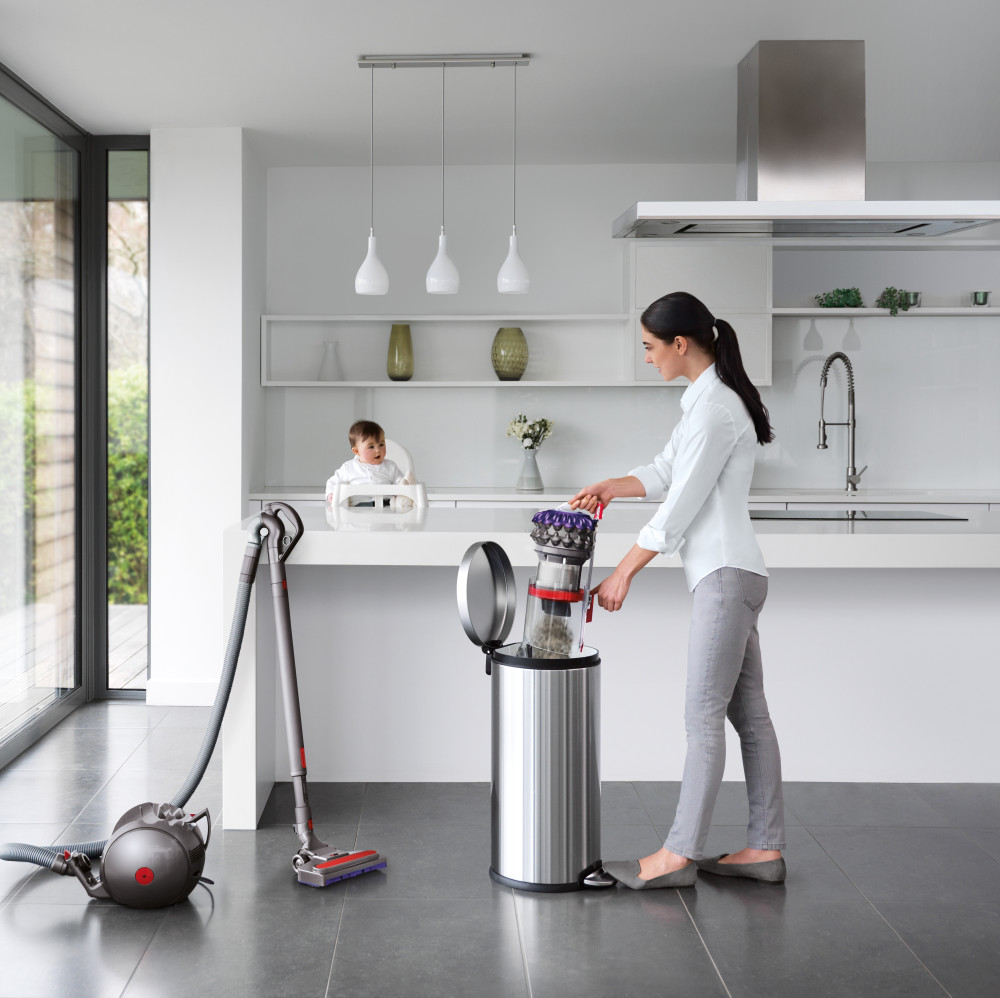 Dyson Big Ball Animal 2 Vacuum Cleaner | 228563-01 Dyson Big Ball Animal 2 Vacuum Cleaner | 228563-01