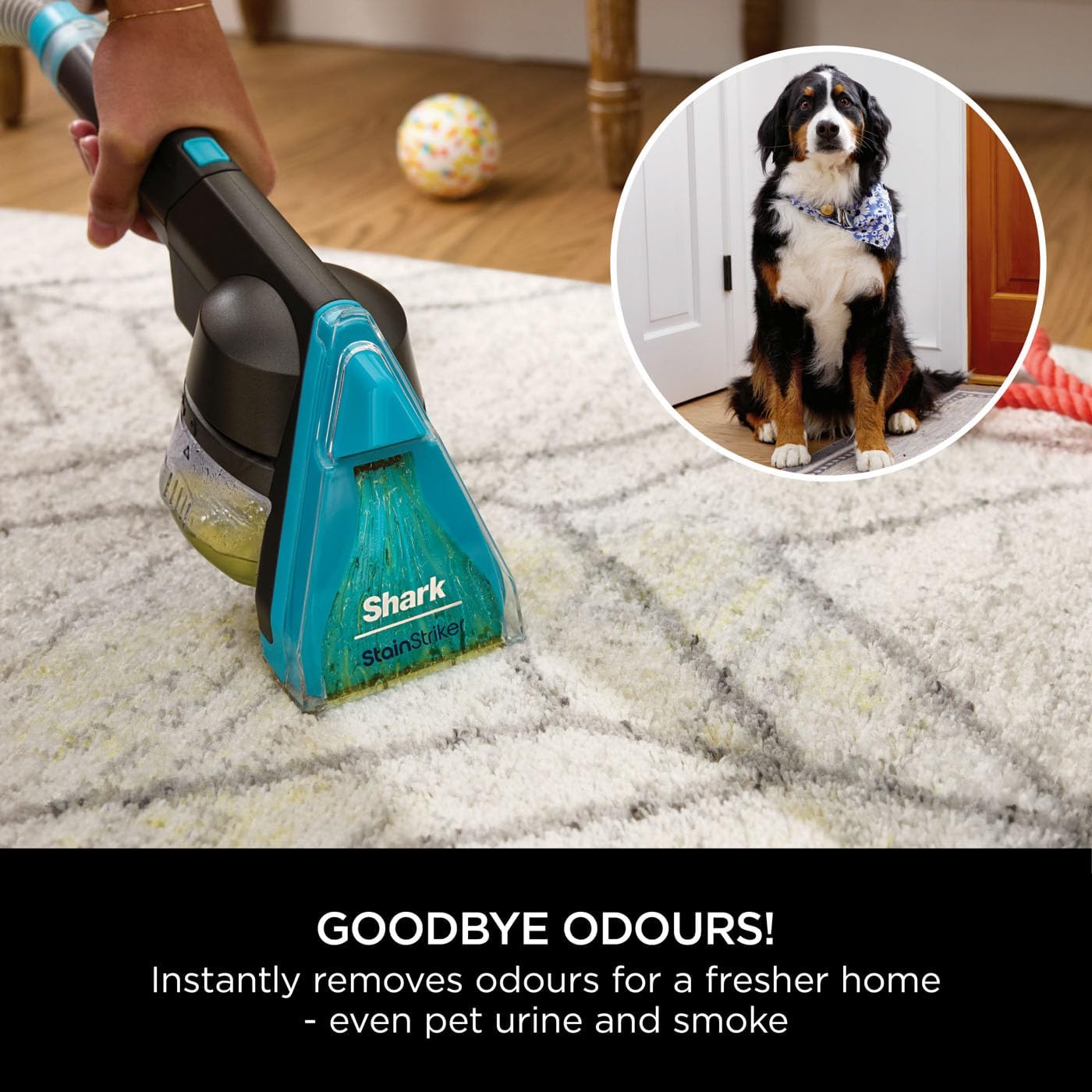 Shark CarpetXpert HairPro Deep Carpet Cleaner | EX300UK Shark CarpetXpert HairPro Deep Carpet Cleaner | EX300UK