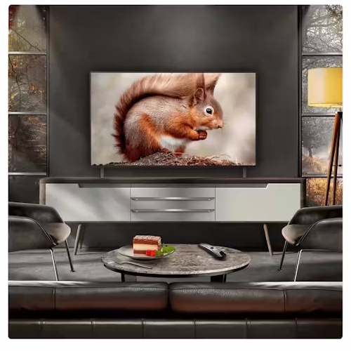 LG OLED Evo AI B5 4K Smart TV | 55″ | OLED55B56LA.AEK LG OLED Evo AI B5 4K Smart TV | 55″ | OLED55B56LA.AEK