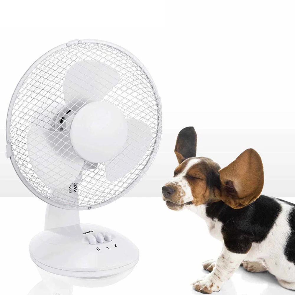 Melissa 9″ Desktop Cooling Fan I 16510105 Melissa 9″ Desktop Cooling Fan I 16510105