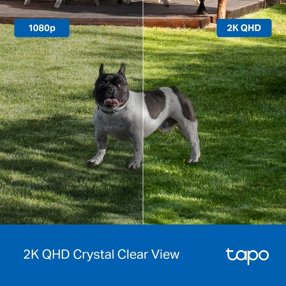 TP-Link Tapo Outdoor Security Camera | Wire Free | TAPOC425 TP-Link Tapo Outdoor Security Camera | Wire Free | TAPOC425